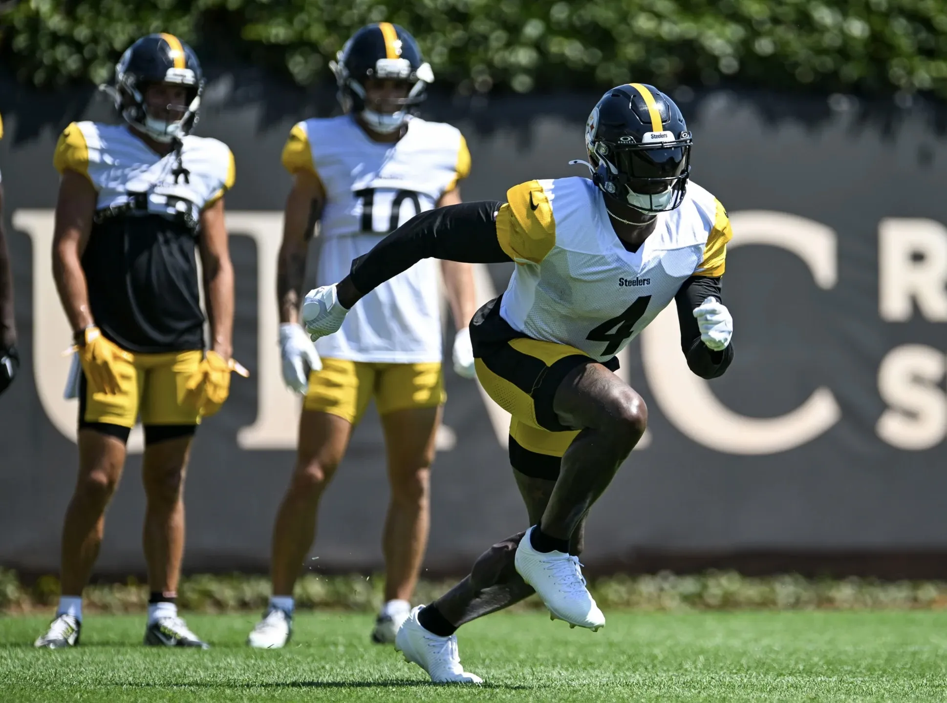 Josh Allen's wife, Hailee Steinfeld, is set to star in a movie alongside a Pittsburgh Steelers receiver