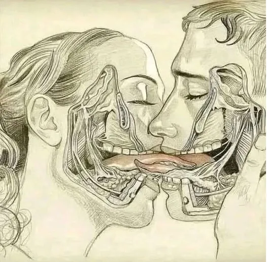 WHAT HAPPENS WHEN WE TONGUE KISS…See more.