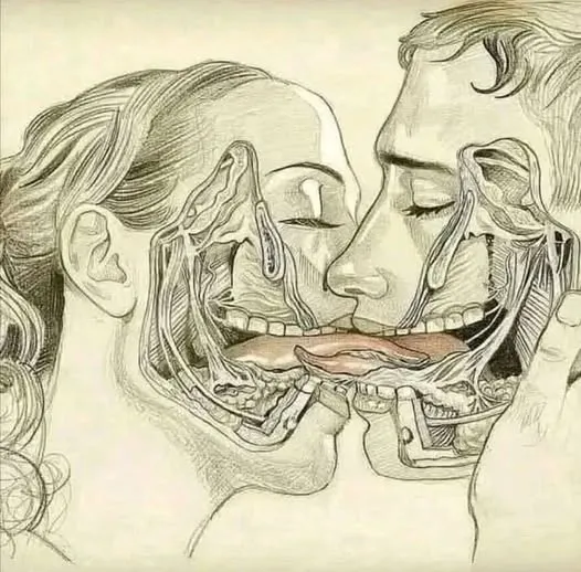 H WHAT HAPPENS WHEN WE TONGUE KISS…See more.