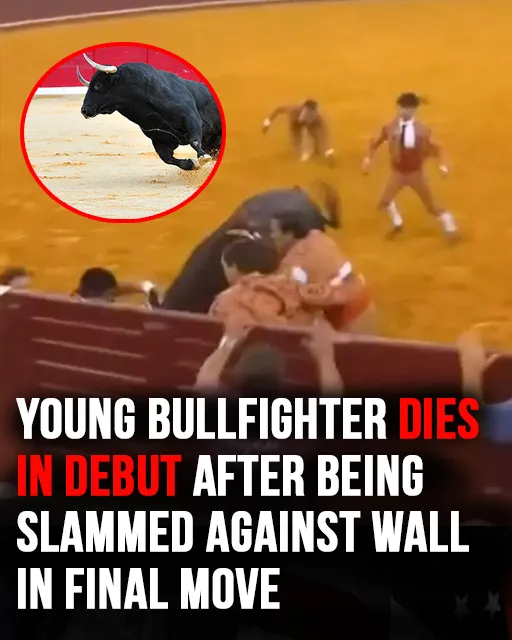 X Young bullfighter dies in debut after being slammed against wall in front of crowd