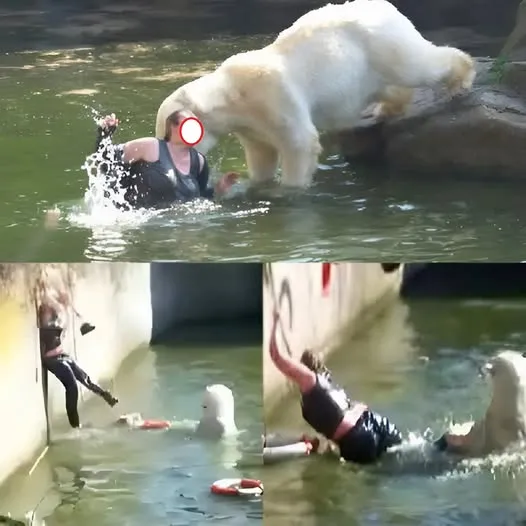 X HORROR AT BERLIN ZOO: 32-Year-Old Woman Jumps Into Polar Bear Enclosure — What happened next left visitors transfixed. It was supposed to be a normal afternoon at the Berlin Zoo…