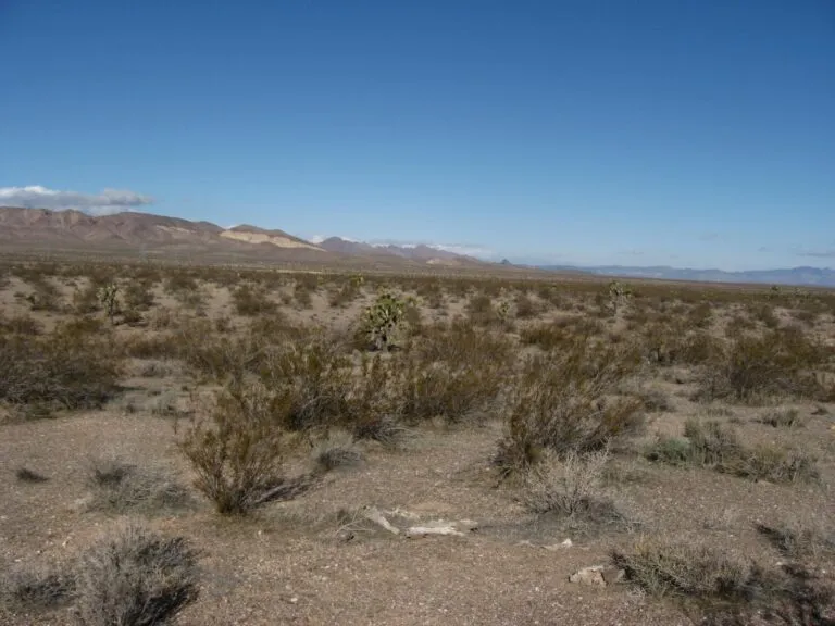 X Over 100 human remains found in Nevada desert spark chilling federal investigation