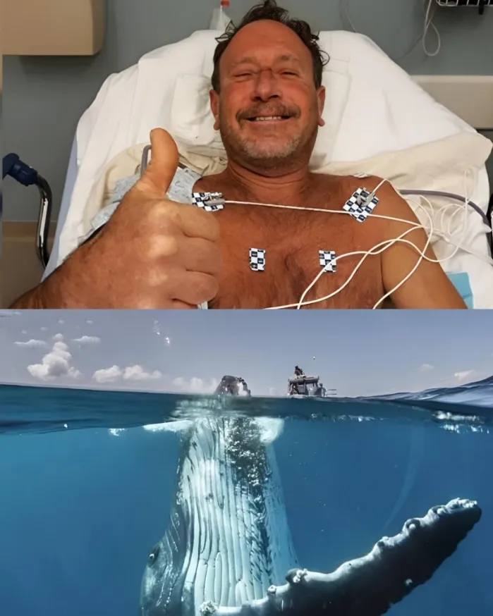 Swallowed by a Whale: The Diver Who Lived to Tell the Tale 899