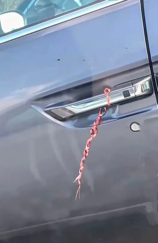What is the function of this red wire?